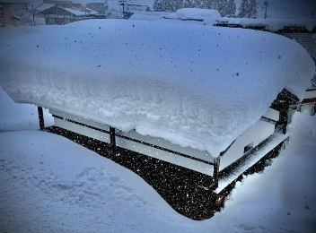 雹・雪による被害